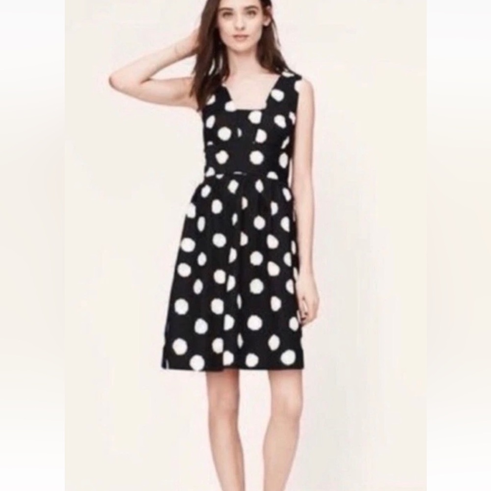 Ann Taylor Loft Black & Ivory Polka dot dress Women’s size 10 EUC